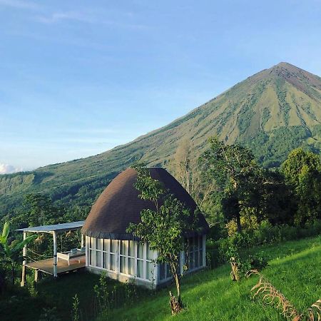 Отель Manulalu Jungle Bajawa Экстерьер фото