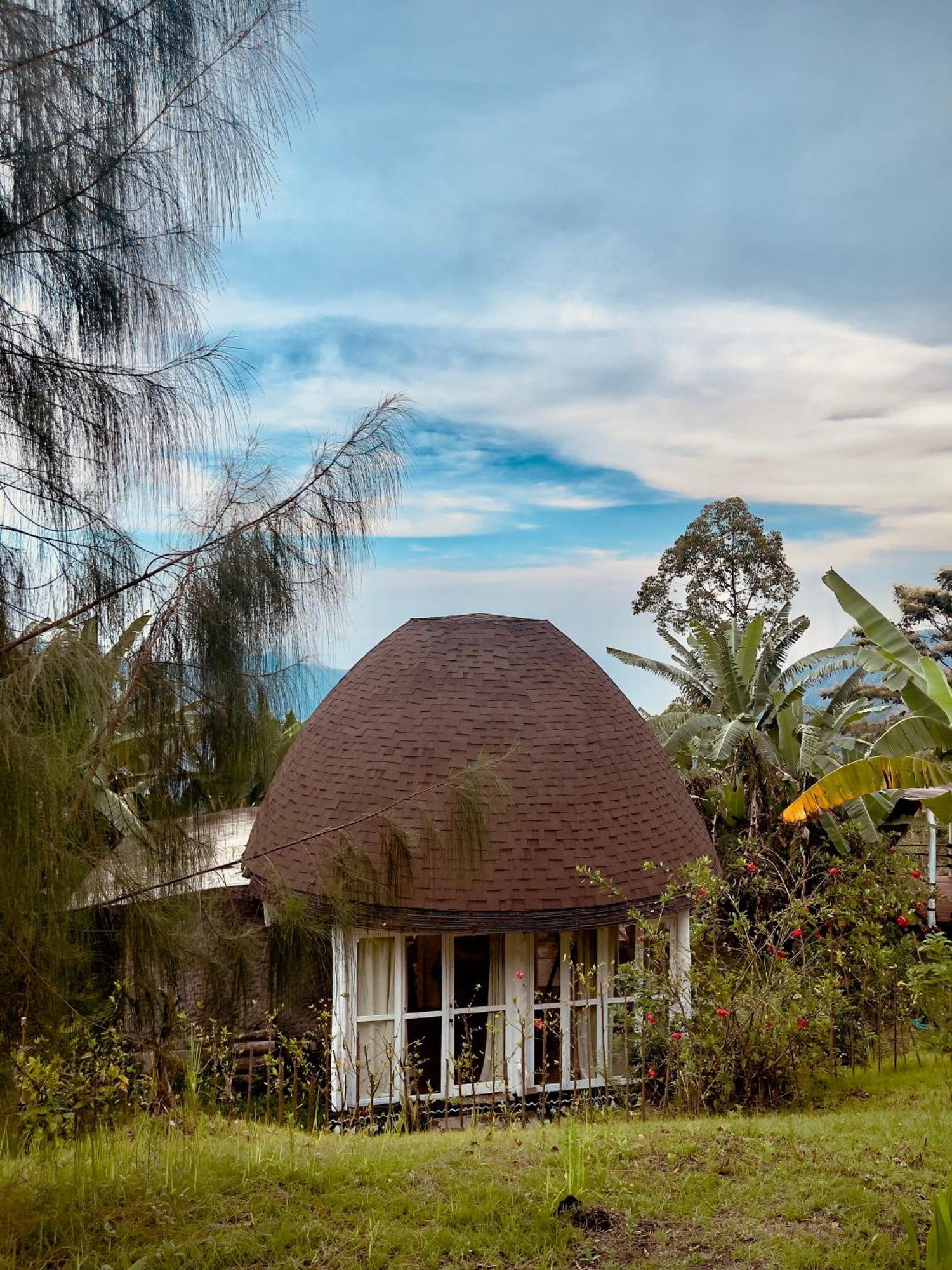 Отель Manulalu Jungle Bajawa Экстерьер фото